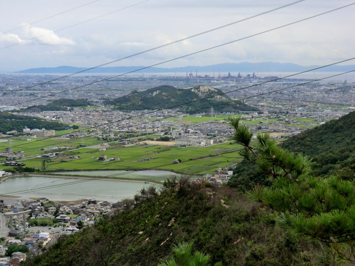 No239播磨アルプス・桶居山_b0185573_15523670.jpg