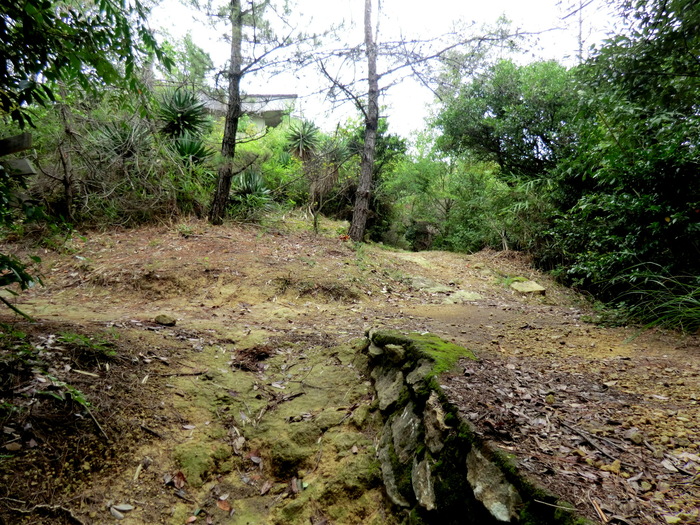 b0185573_1562414.jpg