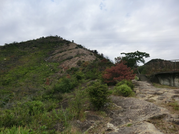 b0185573_1594455.jpg