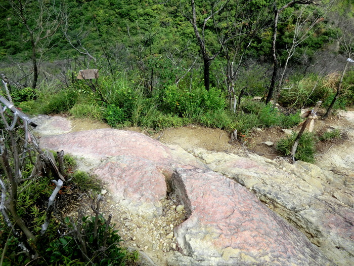 b0185573_16233069.jpg