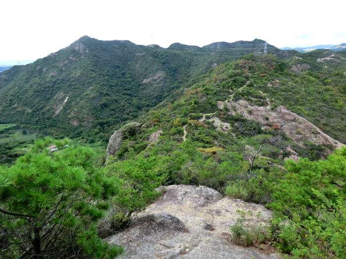 b0185573_163264.jpg