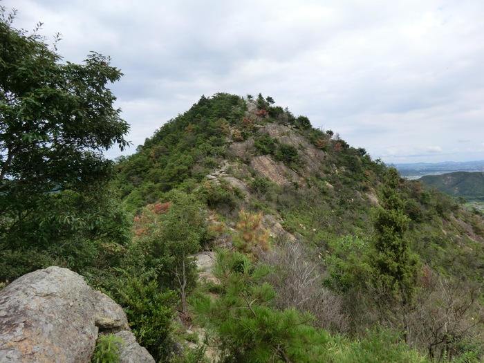 b0185573_1643760.jpg