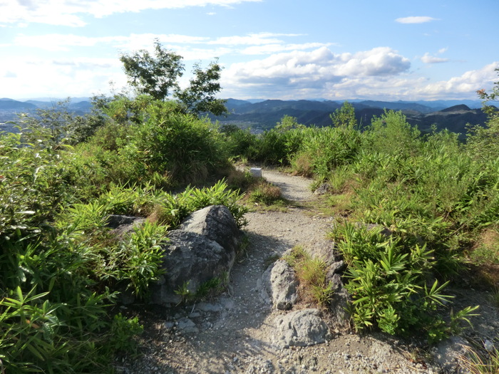 b0185573_20292586.jpg