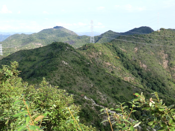 b0185573_20354771.jpg
