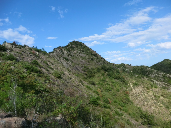 b0185573_20574176.jpg