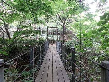 e0126875_136479.jpg