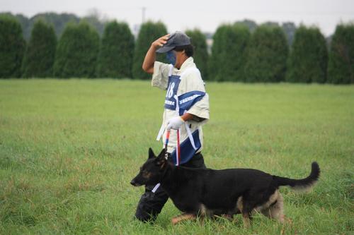 嘱託犬競技会　in恵庭　　見学_a0229076_2036027.jpg