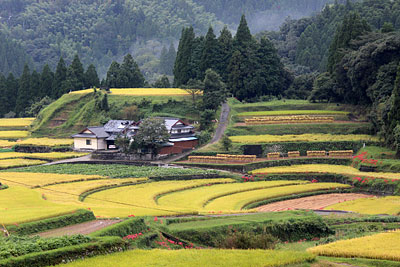 c0152779_16151150.jpg