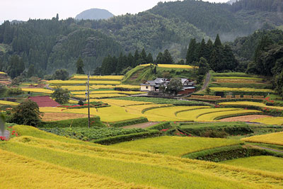 c0152779_16152145.jpg