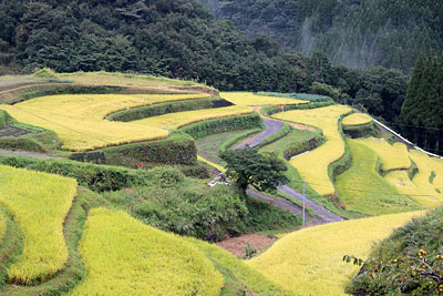 c0152779_1693146.jpg