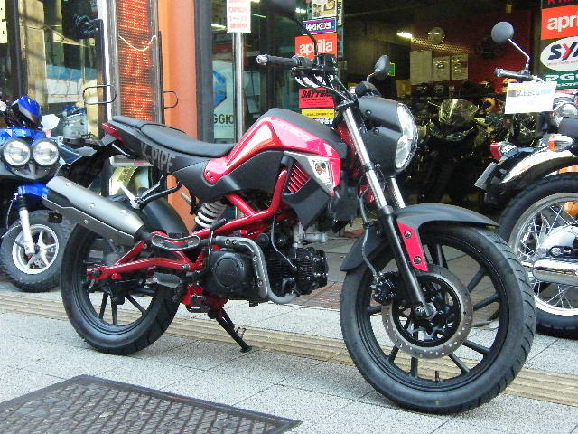 台湾メーカーKYMCO　2013発売予定車　『K-PIPE』☆_d0099181_1529415.jpg