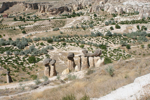 f0046982_10252261.jpg
