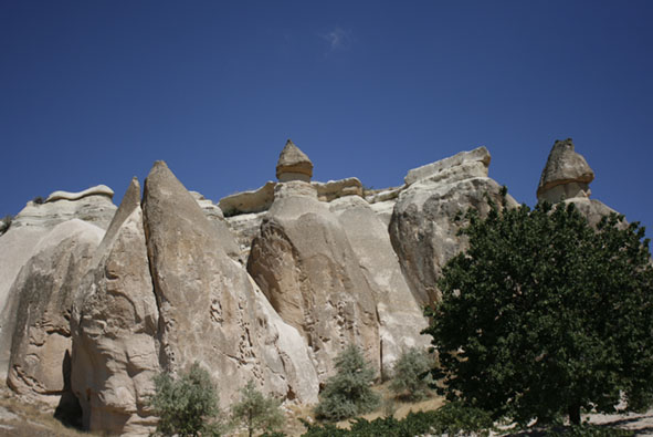 f0046982_10375297.jpg