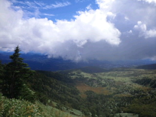 e0039787_1723485.jpg