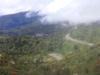 e0039787_172957.jpg