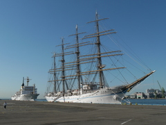 b0192588_1132984.jpg