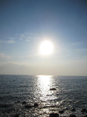 c0171889_1541199.jpg