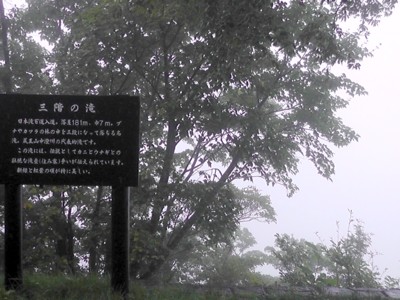 b0035391_13545420.jpg
