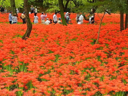 a0278092_20215376.jpg
