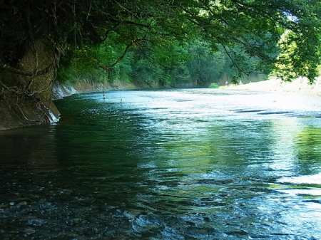 a0278092_2040355.jpg