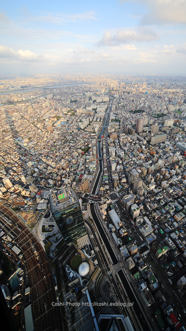 a0110096_21422963.jpg