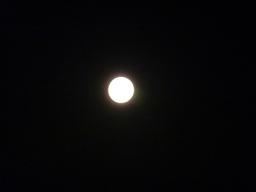 b0199497_7555097.jpg