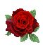 b0059000_13362834.jpg