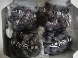 e0166301_11564881.jpg
