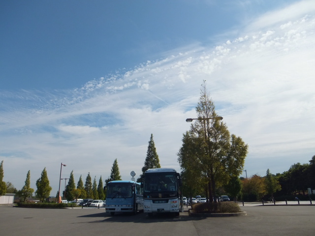 a0271502_17401120.jpg