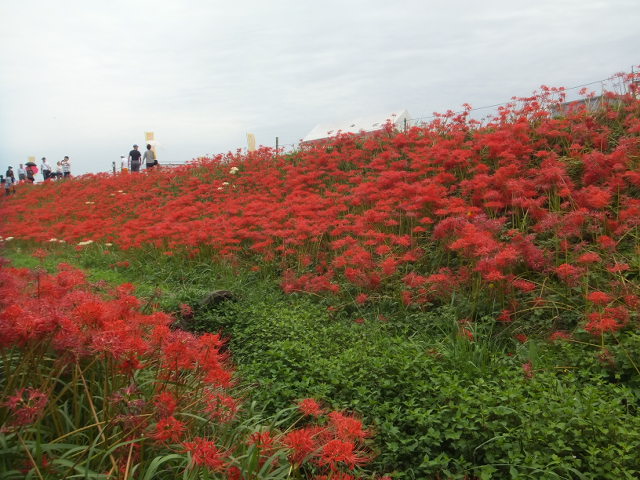 a0271502_17434975.jpg