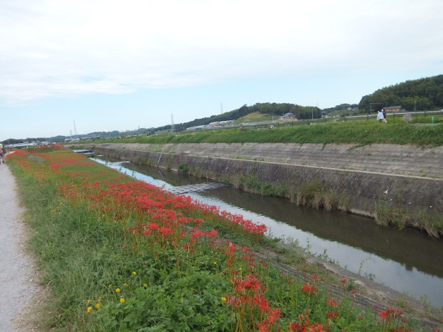 a0271502_17524648.jpg