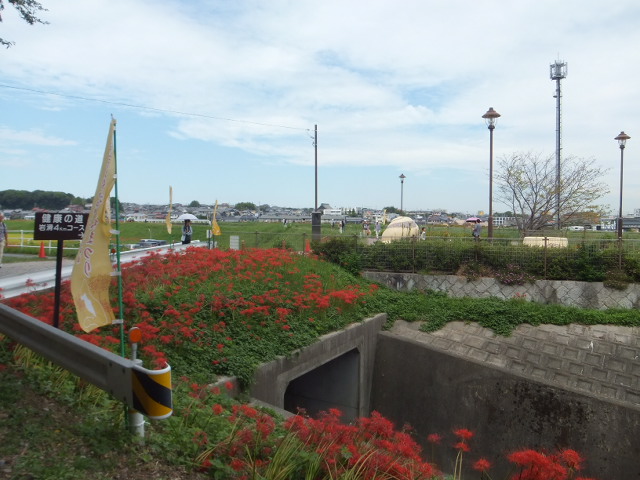 a0271502_1825644.jpg