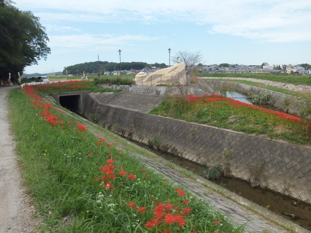 a0271502_186222.jpg
