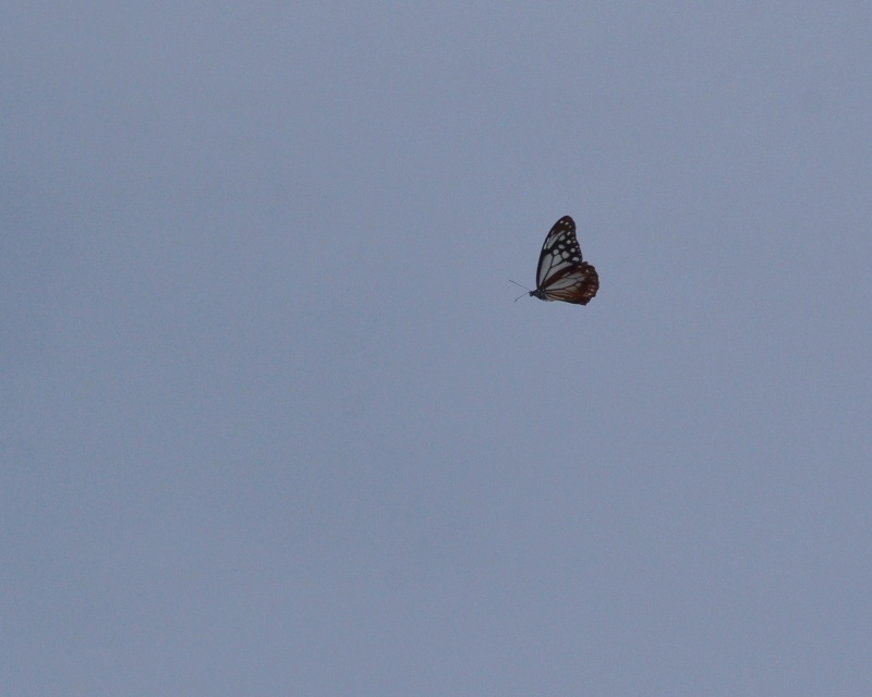 e0103903_19223390.jpg