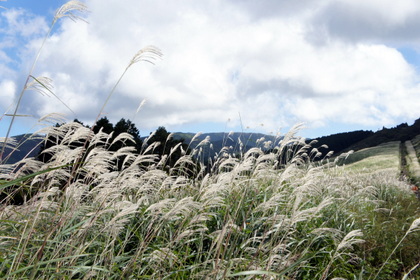 c0148705_17473779.jpg