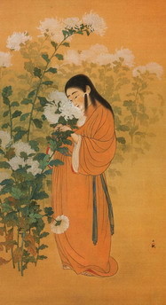 菊11 菊慈童2 : 緑水庵