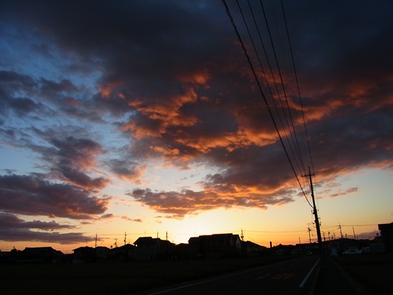 c0205806_2194016.jpg