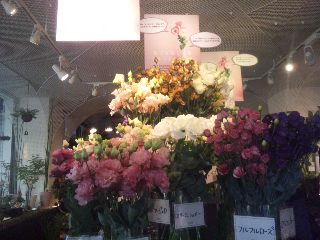 頑張り屋のお嫁さん_d0099708_603769.jpg