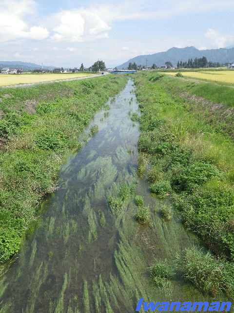 b0172209_0495728.jpg