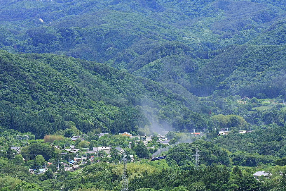 夏緑 - 2012年・上越線 - _b0190710_771325.jpg