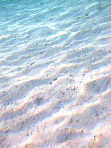 e0155611_23204217.jpg