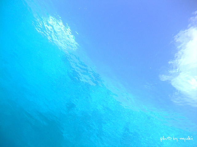 e0155611_2391282.jpg
