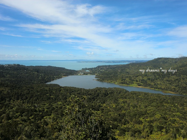 d0181213_6545912.jpg