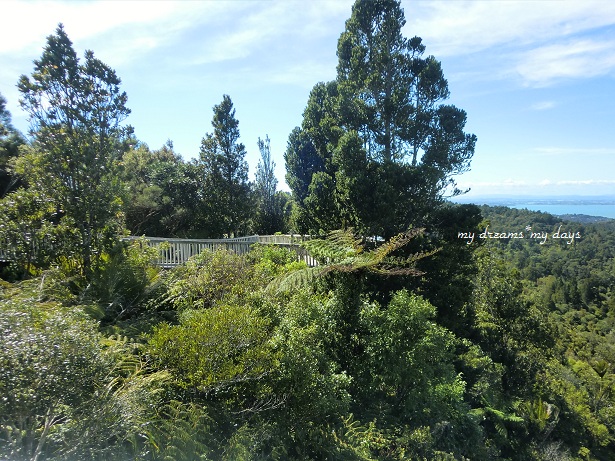 d0181213_6592832.jpg
