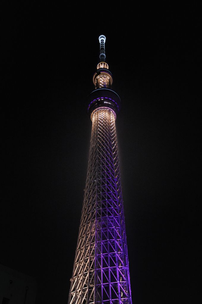 ＳＵＭＩＤＡ　ＲＩＶＥＲ　～番外編～_f0133213_195112.jpg