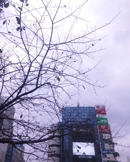 a0037414_23181277.jpg