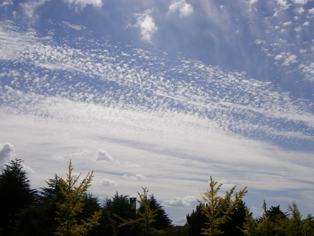 e0286817_9392133.jpg
