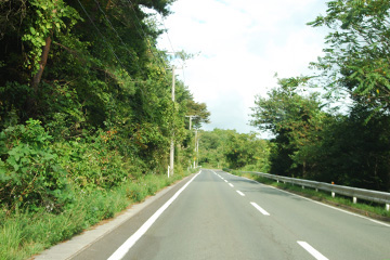 b0259218_1313998.jpg