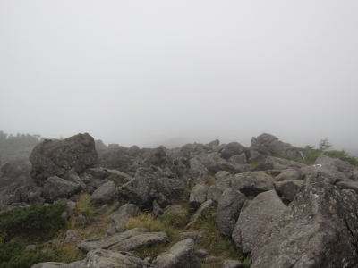 f0177521_2244079.jpg
