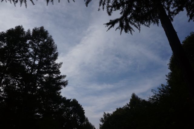 f0234023_6565952.jpg